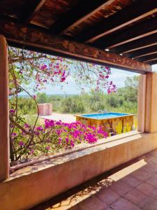 a window with a view of a building with flowers at Villa Turquoise Formentera in Sant Ferran de Ses Roques