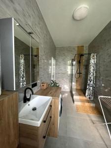 a bathroom with a sink and a shower at Duży Apartament - Stare Miasto - 12 osób - 6 łóżek in Wrocław