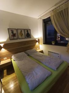 een bed in een kamer met een raam en een bed sidx sidx sidx bij Apartman Lux Relax nalazi se u Titovoj vili in Palisat