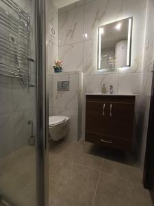 een badkamer met een toilet, een wastafel en een spiegel bij Apartman Lux Relax nalazi se u Titovoj vili in Palisat