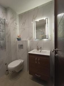 een badkamer met een toilet, een wastafel en een spiegel bij Apartman Lux Relax nalazi se u Titovoj vili in Palisat