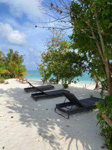 a group of benches on a beach with the ocean at Saima Lodge in Himandhoo 