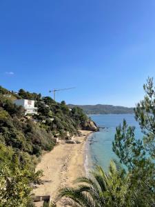 widok na plażę z drzewami i ocean w obiekcie Duplex BIM w miejscowości Sainte-Maxime