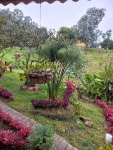 Fotografie z fotogalerie ubytování Finca Hotel Nutabes v destinaci San Pedro