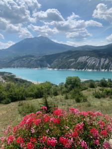 Maison de montagne au bord du lac في Le Sauze-du-Lac: اطلالة على بحيرة بها ورد وردي