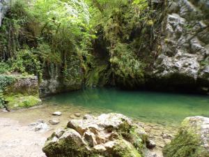 a pool of emerald green water in a forest at Ô reflet des montagnes in Molinges