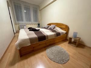 een slaapkamer met een bed met een tapijt en een raam bij Central Apartman Makó in Makó
