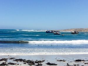 zwei Boote im Wasser am Strand in der Unterkunft Oceana Hondeklipbay in Hondeklipbaai