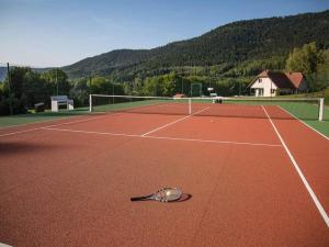 einem Tennisschläger auf einem Tennisplatz in der Unterkunft Villa Le Chant des Sapins - Tennis, Pool, Golf in Le Saulcy