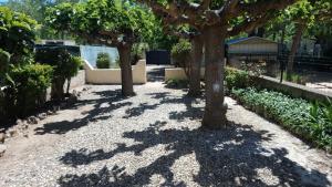 einen schattigen Gehweg mit Bäumen und Pflanzen im Garten in der Unterkunft maison individuelle valras plage in Vendres