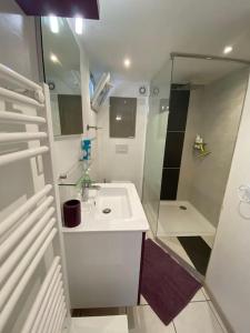 uma casa de banho branca com um lavatório e um chuveiro em Gite 3 chambres, pour ouvriers ou salariés em Coulon
