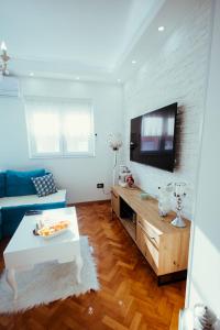 TV a/nebo společenská místnost v ubytování Apartman Milos, privatan parking