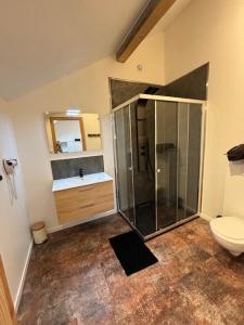 a bathroom with a shower and a sink and a toilet at Duplex le Red Cedar avec terrasse et jardin in Gérardmer