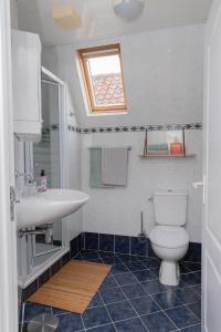 een badkamer met een wastafel en een toilet bij Zeeuwse Zot in Wissenkerke