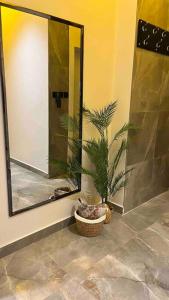 a bathroom with a mirror and a potted plant at استديو فاخر حي حطين بجوار البوليفارد in Riyadh