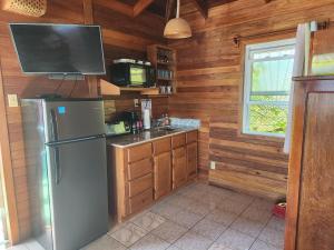 uma cozinha com paredes de madeira, um frigorífico e uma televisão em Coco's Beachfront Cabanas em Seine Bight Village