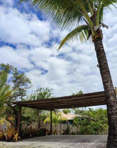 una palmera junto a un pabellón en Casablue Baiana, en Porto Seguro