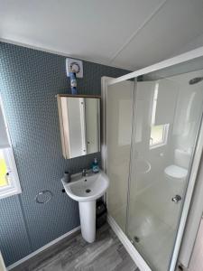 a bathroom with a shower and a sink and a toilet at The Willows in Selsey