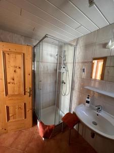 アルプバッハにあるFerienwohnungen Unterfeldのバスルーム(シャワー、シンク付)