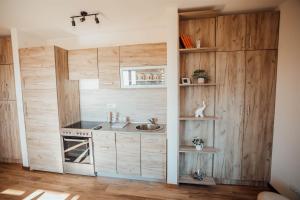 Nhà bếp/bếp nhỏ tại Apartman Petar 26