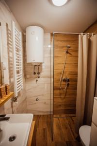 ein Badezimmer mit Dusche, Toilette und Waschbecken in der Unterkunft Apartman Petar 26 in Divčibare