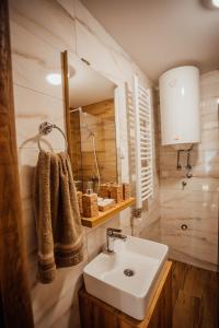 y baño con lavabo y espejo. en Apartman Petar 26, en Divčibare