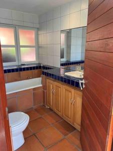 een badkamer met een toilet, een wastafel en een spiegel bij Wilderness deckhouse. views!/sun/sea/river/kayaks in Wilderness