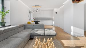 塞内奇Villa Senec的客厅设有灰色的沙发和壁炉