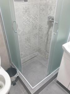 a shower stall in a bathroom with a toilet at Apartman Iris in Vrnjačka Banja