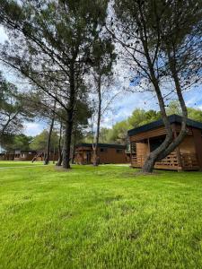 a cabin in a field with trees in the foreground at Imperial Family Bungalows in Ulcinj