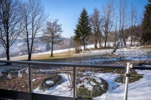 a view of a park with snow and trees at Bavarian Escape Ferienwohnung mit Pool in Sankt Englmar