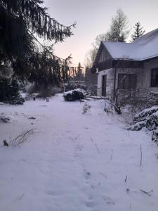 a yard covered in snow next to a house at Dom w Milówce in Milówka