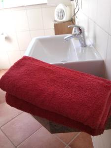 a red towel sitting on the side of a bathroom sink at Ferienwohnung am Plauer See - a55900 in Alt Schwerin