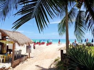 plaża z leżakami, palmą i oceanem w obiekcie Pousada Mangata w mieście Maragogi