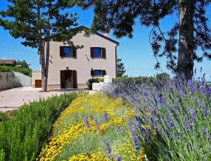 Zahrada ubytování Luxury Villa Gradin + 37 fotografií