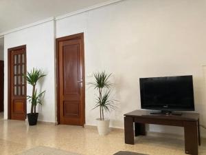 sala de estar con TV y mesa con plantas en Apartamento Valencia capital 6 en Valencia