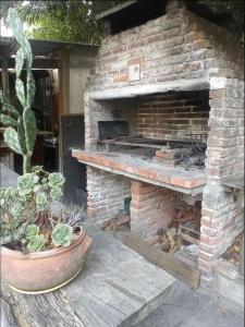 an outdoor brick oven with a plant in a pot at Punta del Este. Habitación privada con baño y entrada independiente. Wifi y cocina comunitaria in Punta del Este
