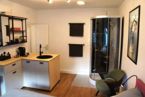 a bathroom with a shower and a sink and a counter at Ruhiges Apartment & Veranda mit guter Anbindung in Bochum +18 photos