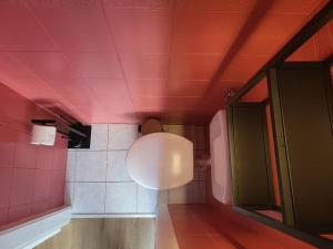 baño con techo rosa y lámpara en Ruhiges Apartment & Veranda mit guter Anbindung en Bochum