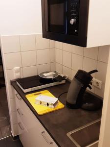 um balcão de cozinha com um lavatório e um micro-ondas em Alfred First em Regensburg