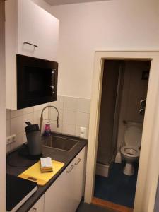 uma pequena cozinha com um lavatório e um WC em Alfred First em Regensburg