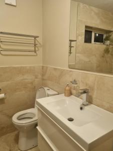 a bathroom with a toilet and a sink and a mirror at Fort William, Dripsey 