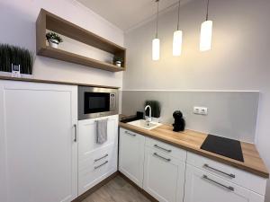Kuchyň nebo kuchyňský kout v ubytování Berzsenyi Apartmanház