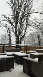 um parque coberto de neve com bancos e uma árvore em Wald Hotel Lagodekhi Rooms em Lagodekhi