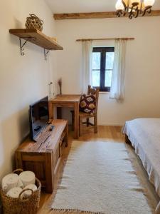 a bedroom with a bed and a desk and a television at Pensiunea Hodăița in Măgura