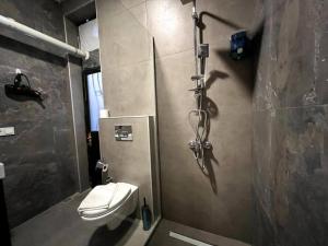 a bathroom with a shower and a toilet in it at ComeLiveGO Cihangir 12 in Istanbul