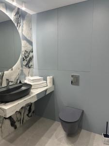 een badkamer met een wastafel, een toilet en een spiegel bij Apartamenty Czarne Owce in Szklarska Poręba
