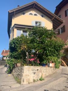 a house with plants in front of it at Tournicolette - 52 m2 charme fou in Chardonne