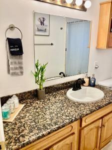 a bathroom counter with a sink and a mirror at Charming Townhouse w/ Yard + BBQ in San Jose