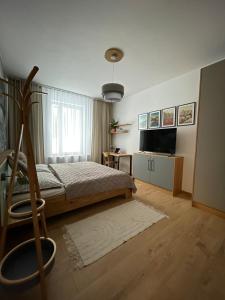 a bedroom with a bed and a television in it at Apartmán Sirius in Štôla